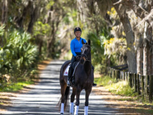 lauren barwick dressage trainer florida