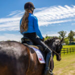 lauren barwick dressage trainer florida